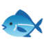 :fish: